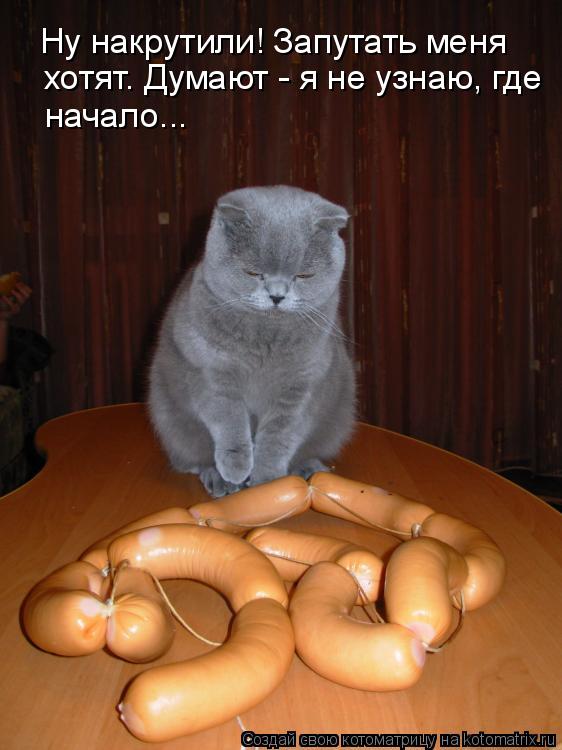Котоматрица: Ну накрутили! Запутать меня хотят. Думают - я не узнаю, где начало...