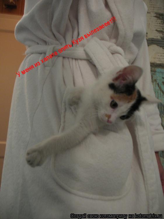У меня из халата опять Кузя вылезаееет!!!... Котоматрица: У меня из халата опять Кузя вылезаееет!!!