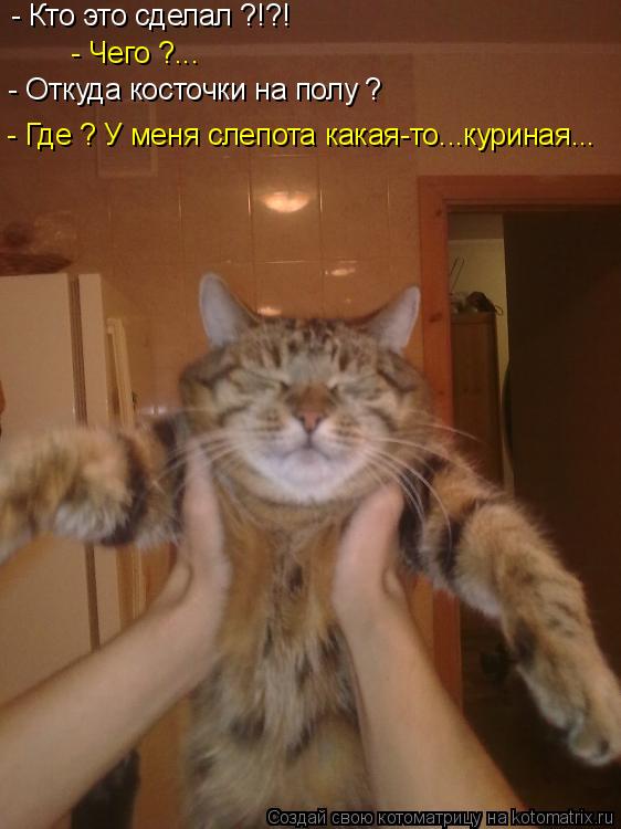- Кто это сделал ?!?! - Чего ?... - Где ? У меня слепота какая-то...куриная... - Откуда косточки на п... Котоматрица: - Кто это сделал ?!?! - Чего ?... - Где ? У меня слепота какая-то...куриная... - Откуда косточки на полу ?