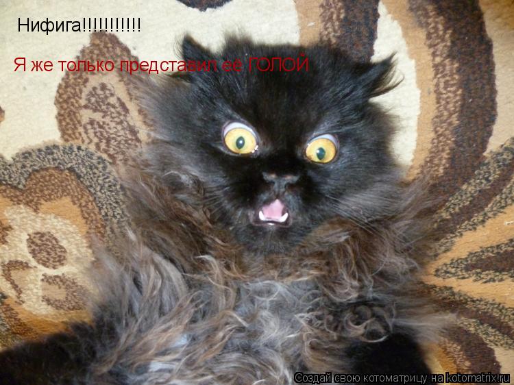 Котоматрица: Нифига!!!!!!!!!!! Я же только представил её ГОЛОЙ