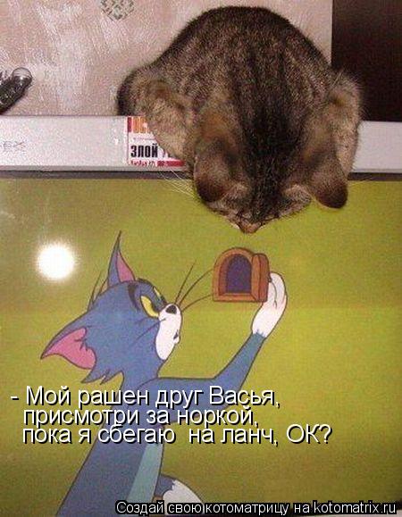 - Мой рашен друг Васья, присмотри за норкой, пока я сбегаю на ланч, ОК?... Котоматрица: - Мой рашен друг Васья, присмотри за норкой, пока я сбегаю на ланч, ОК?