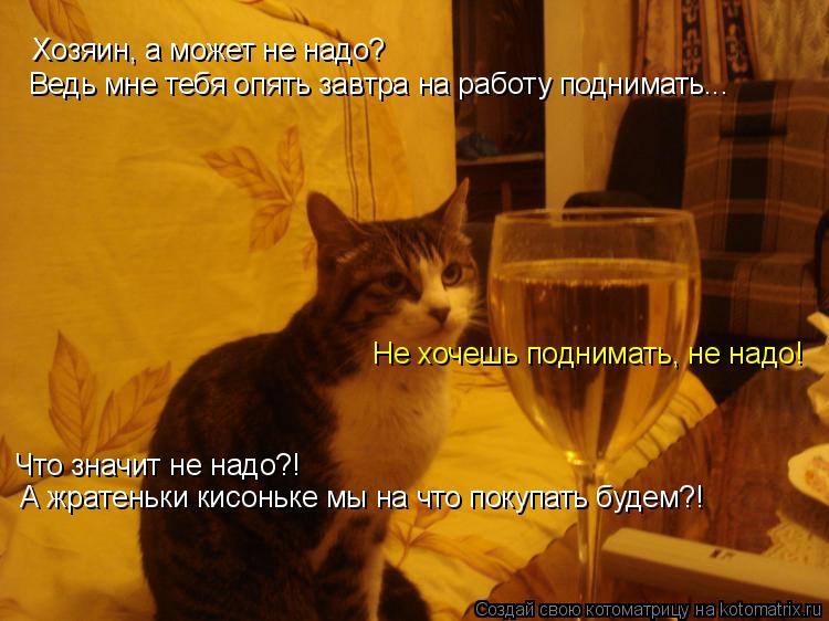 Хозяин, а может не надо? Ведь мне тебя опять завтра на работу поднимать... Что значит не надо?! А жра... Котоматрица: Хозяин, а может не надо? Ведь мне тебя опять завтра на работу поднимать... Что значит не надо?! А жратеньки кисоньке мы на что покупать будем?!