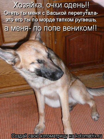 Хозяйка, очки одень!! Опять ты меня с Васькой перепутала- это его ты по морде тапком ругаешь, а меня... Котоматрица: Хозяйка, очки одень!! Опять ты меня с Васькой перепутала- это его ты по морде тапком ругаешь, а меня- по попе веником!!