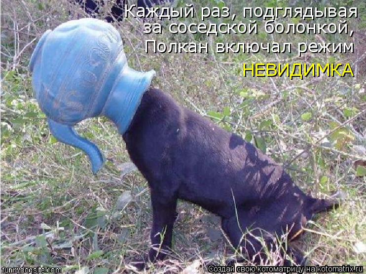 Каждый раз, подглядывая за соседской болонкой, Полкан включал режим НЕВИДИМКА... Котоматрица: Каждый раз, подглядывая за соседской болонкой, Полкан включал режим НЕВИДИМКА