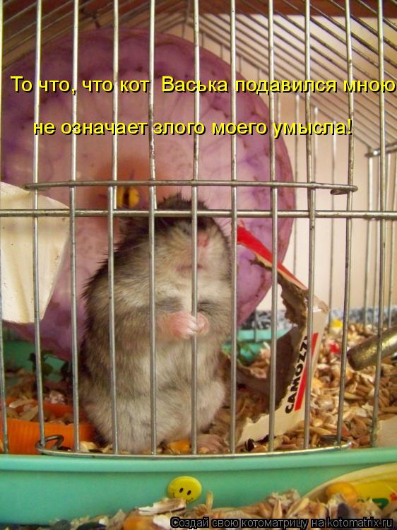 не означает злого моего умысла! То что, что кот Васька подавился мною... Котоматрица: не означает злого моего умысла! То что, что кот Васька подавился мною