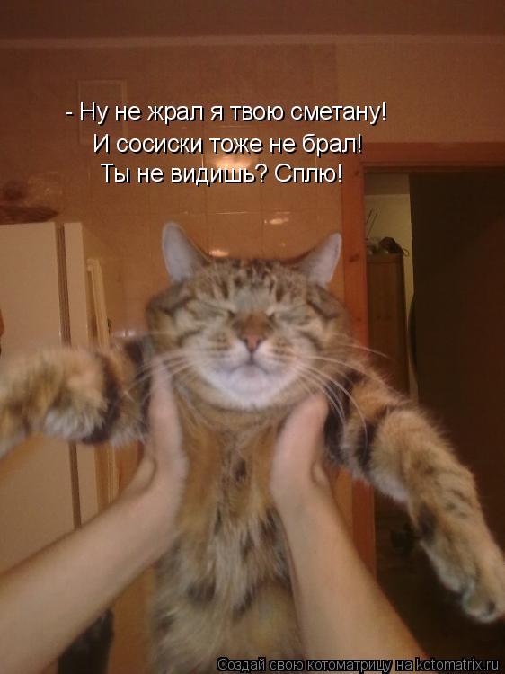 - Ну не жрал я твою сметану! И сосиски тоже не брал! Ты не видишь? Сплю!... Котоматрица: - Ну не жрал я твою сметану! И сосиски тоже не брал! Ты не видишь? Сплю!