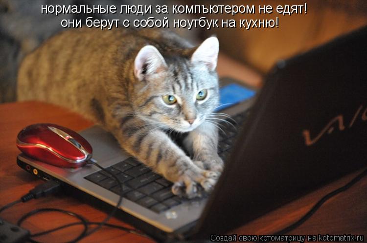 нормальные люди за компъютером не едят! они берут с собой ноутбук на кухню!... Котоматрица: нормальные люди за компъютером не едят! они берут с собой ноутбук на кухню!