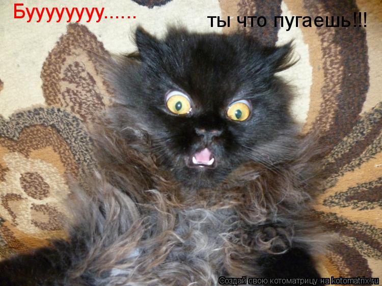 Буууууууу...... ты что пугаешь!!!... Котоматрица: Буууууууу...... ты что пугаешь!!!