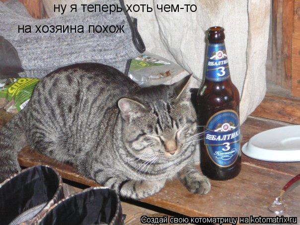 ну я теперь хоть чем-то на хозяина похож... Котоматрица: ну я теперь хоть чем-то на хозяина похож