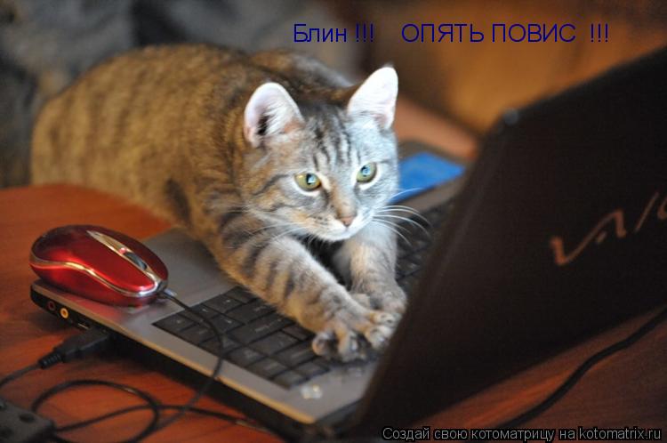 Блин !!! ОПЯТЬ ПОВИС !!!... Котоматрица: Блин !!! ОПЯТЬ ПОВИС !!!
