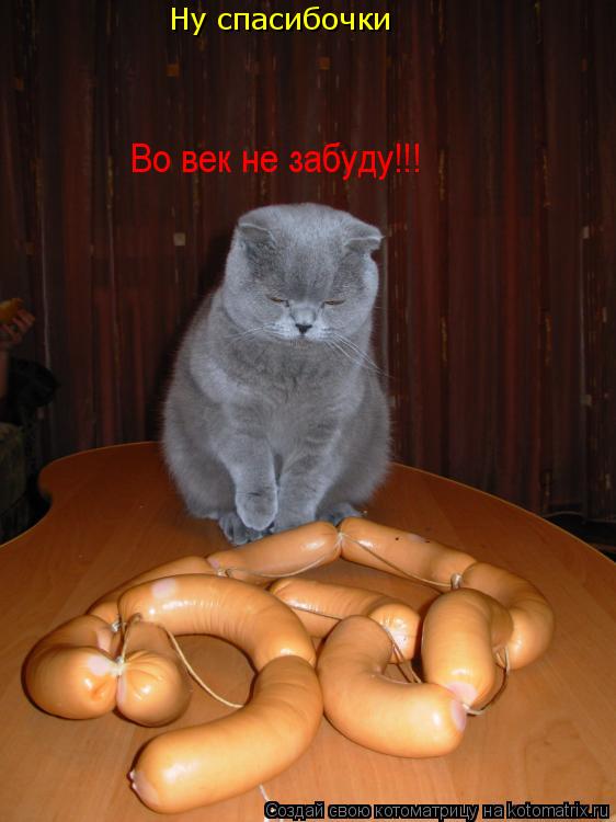 Ну спасибочки Во век не забуду!!!... Котоматрица: Ну спасибочки Во век не забуду!!!