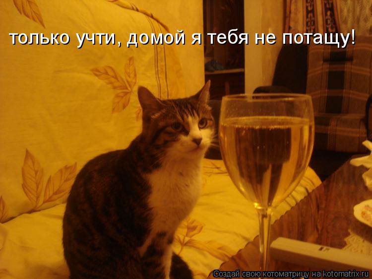 только учти, домой я тебя не потащу!... Котоматрица: только учти, домой я тебя не потащу!