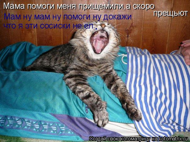 Мама помоги меня прищемили,а скоро прещьют Мам ну мам ну помоги ну докажи что я эти сосиски не ел ... Котоматрица: Мама помоги меня прищемили,а скоро прещьют Мам ну мам ну помоги ну докажи что я эти сосиски не ел .