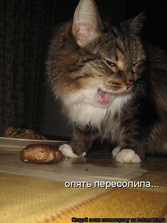 опять пересолила...... Котоматрица: опять пересолила...