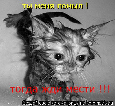 ты меня помыл ! тогда жди мести !!!... Котоматрица: ты меня помыл ! тогда жди мести !!!