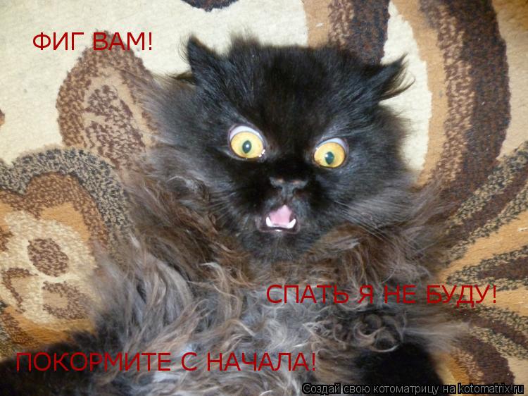ФИГ ВАМ! СПАТЬ Я НЕ БУДУ! ПОКОРМИТЕ С НАЧАЛА!... Котоматрица: ФИГ ВАМ! СПАТЬ Я НЕ БУДУ! ПОКОРМИТЕ С НАЧАЛА!