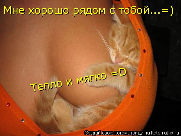 Мне хорошо рядом с тобой...=) Тепло и мягко =D... Котоматрица: Мне хорошо рядом с тобой...=) Тепло и мягко =D