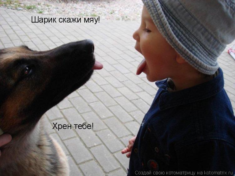 Шарик скажи мяу! Хрен тебе!... Котоматрица: Шарик скажи мяу! Хрен тебе!