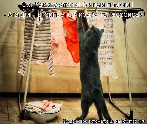 - Ох! Как я усатала! Милый помоги ! - Ага фиг ты бильепостирала ты и собирай!... Котоматрица: - Ох! Как я усатала! Милый помоги ! - Ага фиг ты бильепостирала ты и собирай!