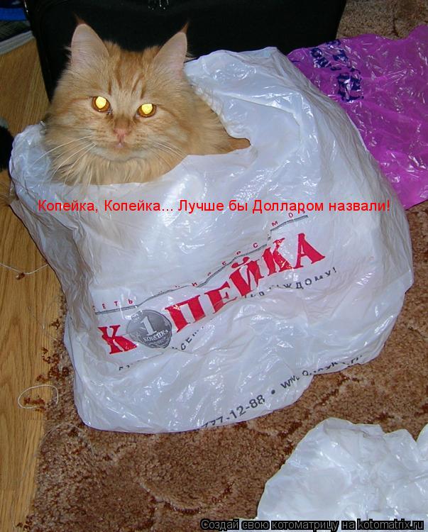 Копейка, Копейка... Лучше бы Долларом назвали!... Котоматрица: Копейка, Копейка... Лучше бы Долларом назвали!