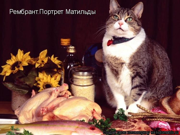 Рембрант.Портрет Матильды... Котоматрица: Рембрант.Портрет Матильды