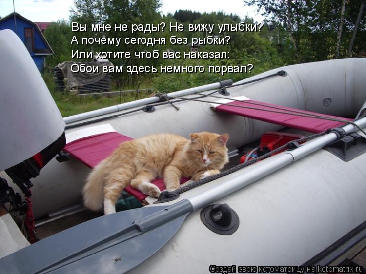 Вы мне не рады? Не вижу улыбки? А почему сегодня без рыбки? Или хотите чтоб вас наказал: Обои вам зде... Котоматрица: Вы мне не рады? Не вижу улыбки? А почему сегодня без рыбки? Или хотите чтоб вас наказал: Обои вам здесь немного порвал?