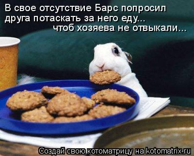 В свое отсутствие Барс попросил друга потаскать за него еду... чтоб хозяева не отвыкали...... Котоматрица: В свое отсутствие Барс попросил друга потаскать за него еду... чтоб хозяева не отвыкали...