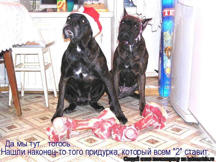 Да мы тут... тогось... Нашли наконец-то того придурка, который всем "2" ставит.... Котоматрица: Да мы тут... тогось... Нашли наконец-то того придурка, который всем "2" ставит.