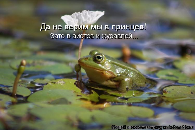 Да не верим мы в принцев! Зато в аистов и журавлей...... Котоматрица: Да не верим мы в принцев! Зато в аистов и журавлей...