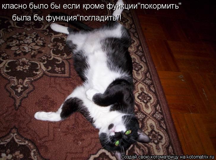 класно было бы если кроме функции"покормить" была бы функция"погладить"!... Котоматрица: класно было бы если кроме функции"покормить" была бы функция"погладить"!