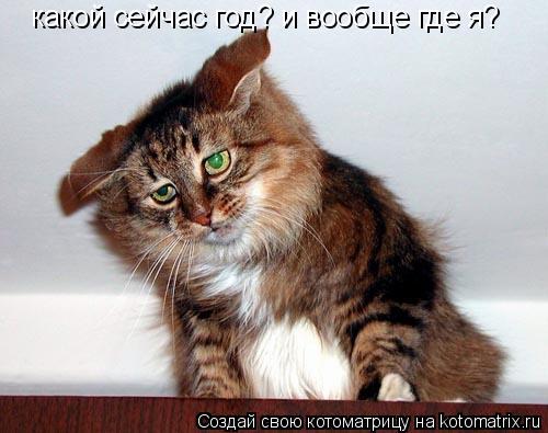 какой сейчас год? и вообще где я?... Котоматрица: какой сейчас год? и вообще где я?