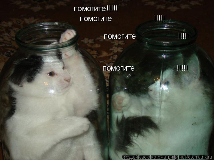 помогите !!!!! помогите !!!!! помогите !!!!! помогите ... Котоматрица: помогите !!!!! помогите !!!!! помогите !!!!! помогите !!!!!