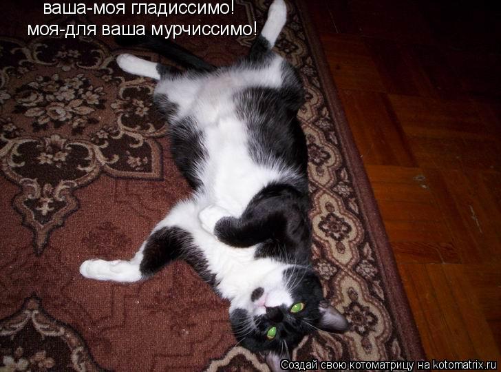 ваша-моя гладиссимо! моя-для ваша мурчиссимо!... Котоматрица: ваша-моя гладиссимо! моя-для ваша мурчиссимо!