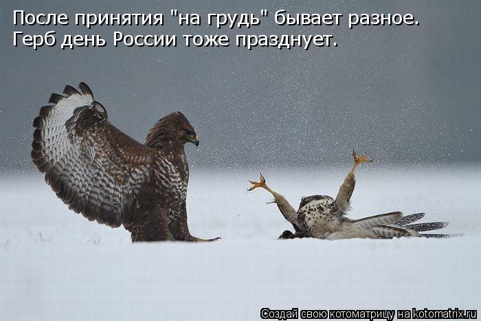 После принятия "на грудь" бывает разное. Герб день России тоже празднует.... Котоматрица: После принятия "на грудь" бывает разное. Герб день России тоже празднует.