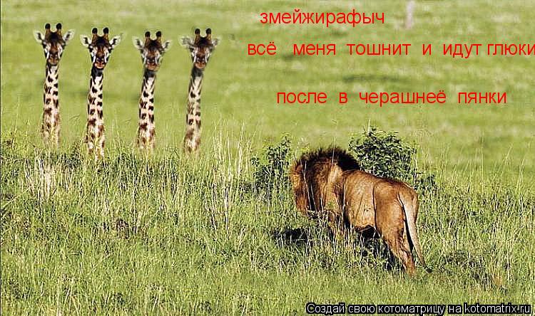 змейжирафыч всё меня тошнит и идут глюки после в черашнеё пянки... Котоматрица: змейжирафыч всё меня тошнит и идут глюки после в черашнеё пянки