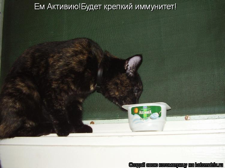 Ем Активию!Будет крепкий иммунитет!... Котоматрица: Ем Активию!Будет крепкий иммунитет!