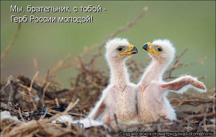 Мы, брательник, с тобой - Герб России молодой!... Котоматрица: Мы, брательник, с тобой - Герб России молодой!