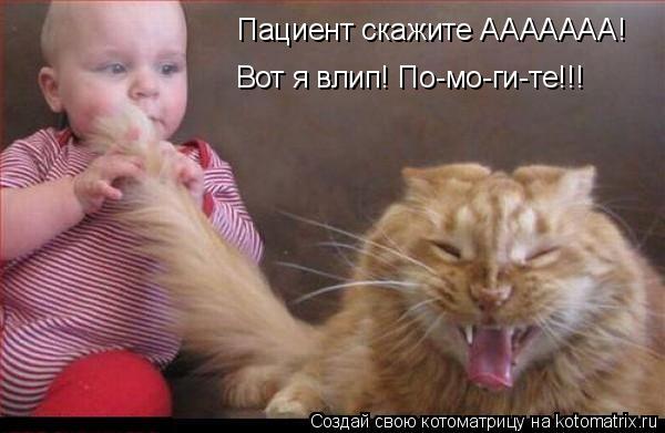 Пациент скажите ААААААА! Вот я влип! По-мо-ги-те!!!... Котоматрица: Пациент скажите ААААААА! Вот я влип! По-мо-ги-те!!!
