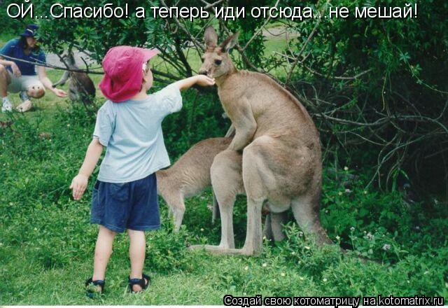 ОЙ...Спасибо! а теперь иди отсюда...не мешай!... Котоматрица: ОЙ...Спасибо! а теперь иди отсюда...не мешай!