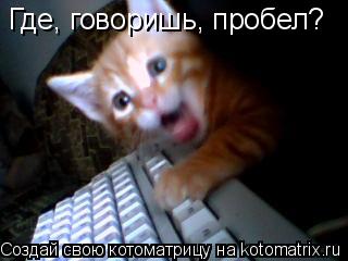 Где, говоришь, пробел?... Котоматрица: Где, говоришь, пробел?
