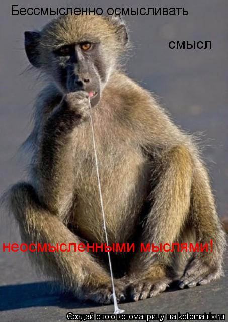 Бессмысленно осмысливать смысл неосмысленными мыслями!... Котоматрица: Бессмысленно осмысливать смысл неосмысленными мыслями!