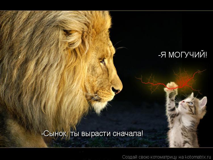 -Сынок, ты вырасти сначала! -Я МОГУЧИЙ!... Котоматрица: -Сынок, ты вырасти сначала! -Я МОГУЧИЙ!