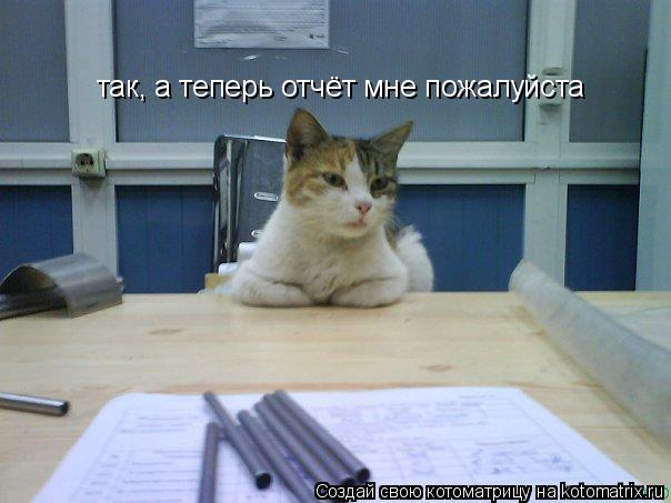 так, а теперь отчёт мне пожалуйста... Котоматрица: так, а теперь отчёт мне пожалуйста