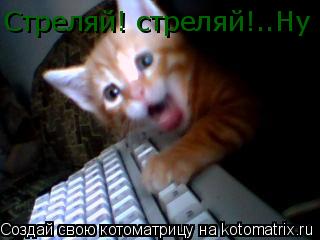 Стреляй! стреляй!..Ну вот опять продули!... Котоматрица: Стреляй! стреляй!..Ну вот опять продули!