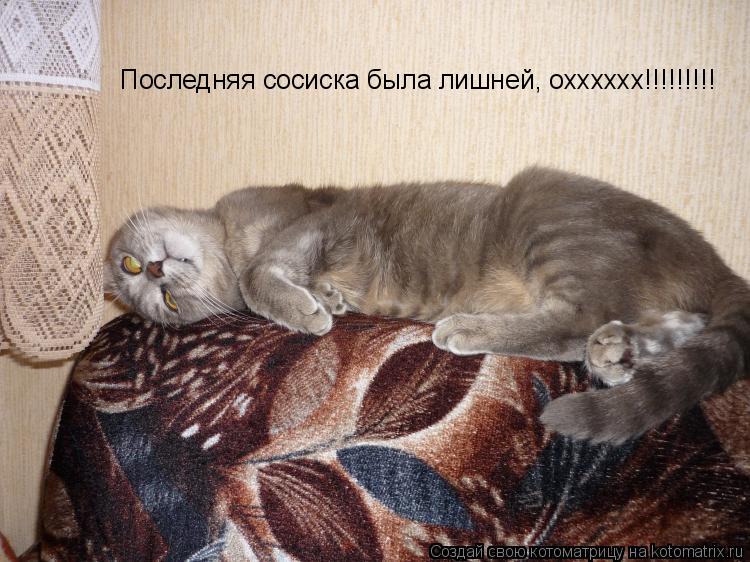 Последняя сосиска была лишней, охххххх!!!!!!!!!... Котоматрица: Последняя сосиска была лишней, охххххх!!!!!!!!!
