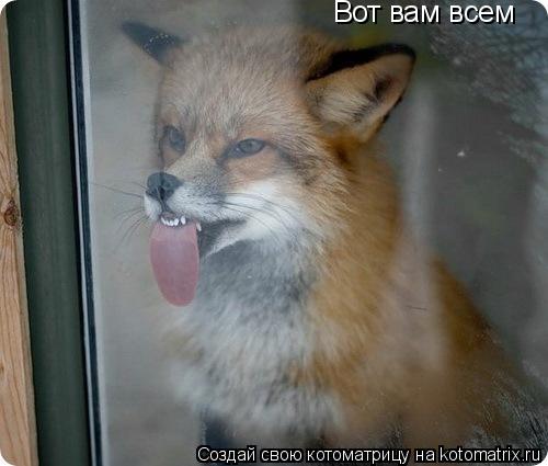 Вот вам всем... Котоматрица: Вот вам всем
