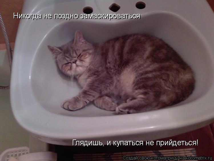 Никогда не поздно замаскироваться Глядишь, и купаться не прийдеться!... Котоматрица: Никогда не поздно замаскироваться Глядишь, и купаться не прийдеться!