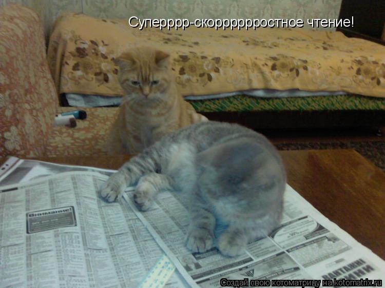Суперррр-скорррррростное чтение!... Котоматрица: Суперррр-скорррррростное чтение!