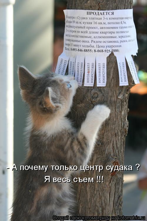 - А почему только центр судака ? Я весь съем !!!... Котоматрица: - А почему только центр судака ? Я весь съем !!!