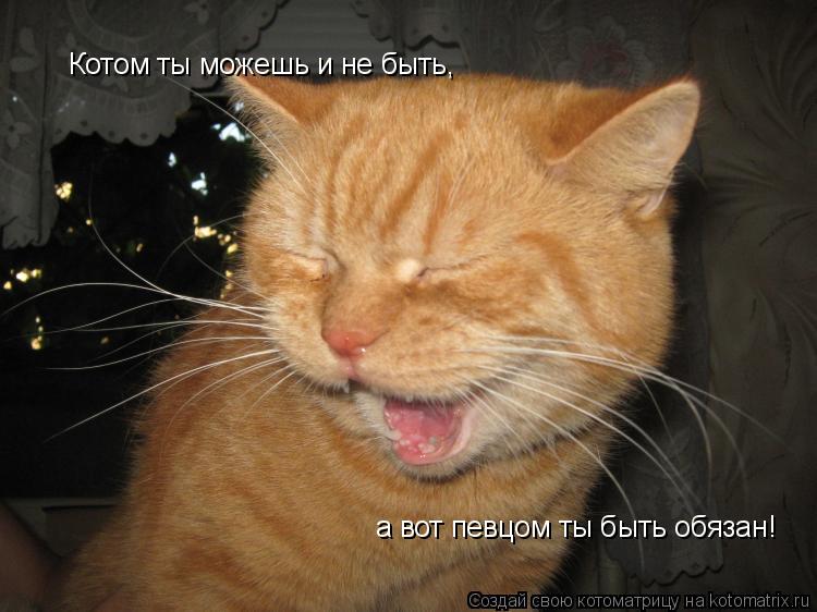 Котом ты можешь и не быть, а вот певцом ты быть обязан!... Котоматрица: Котом ты можешь и не быть, а вот певцом ты быть обязан!